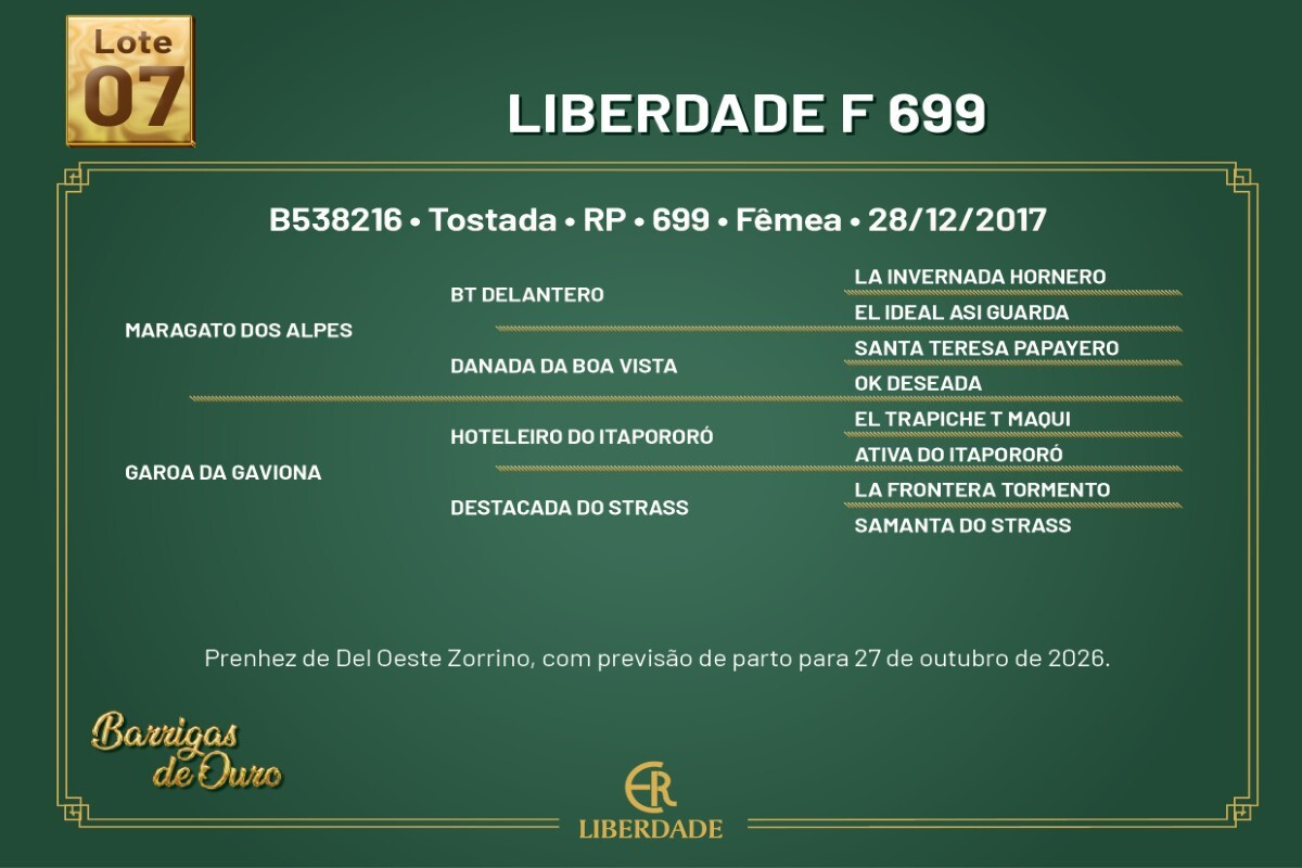 Geração LIBERDADE F 699