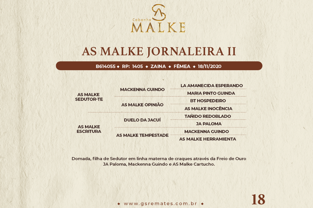 Geração AS MALKE JORNALEIRA II