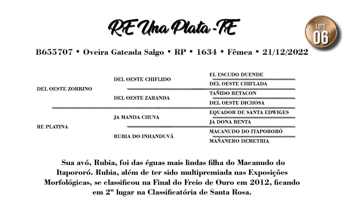 Geração RE UNA PLATA-TE