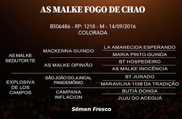 Geração AS MALKE FOGO DE CHÃO