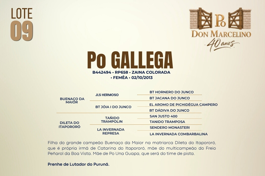 Geração PO GALLEGA