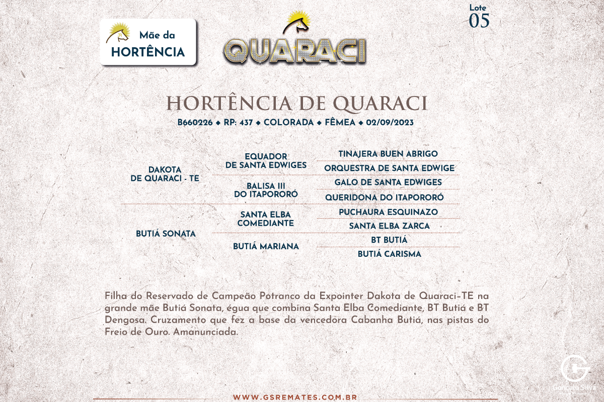 Geração HORTÊNCIA DE QUARACI 