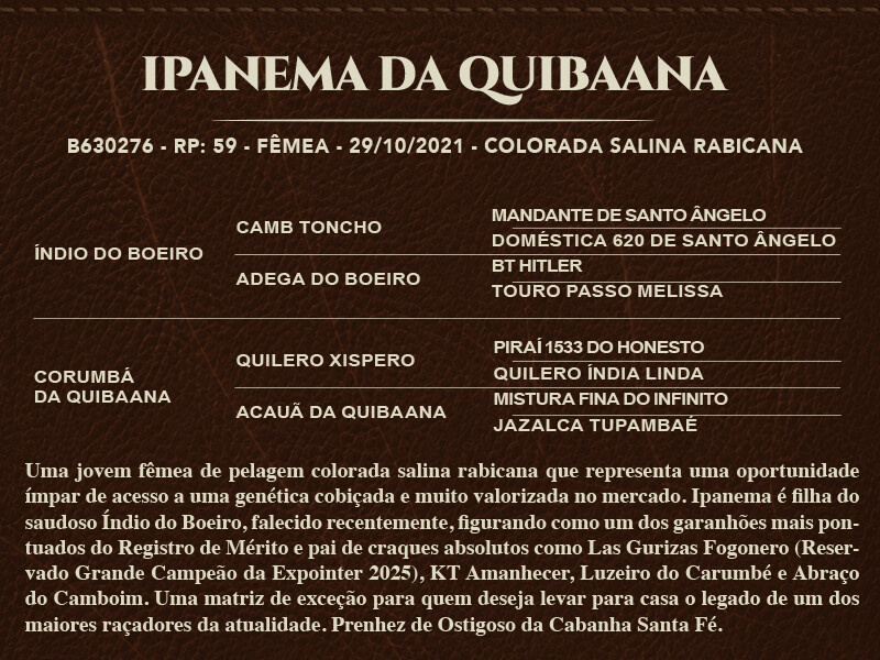 Geração IPANEMA DA QUIBAANA