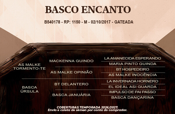 Geração Basco Encanto