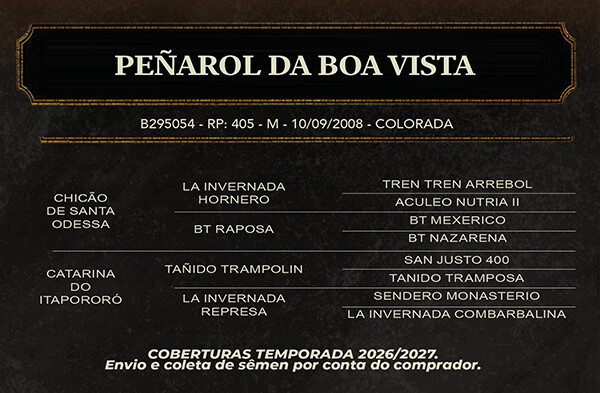 Geração PEÑAROL DA BOA VISTA 