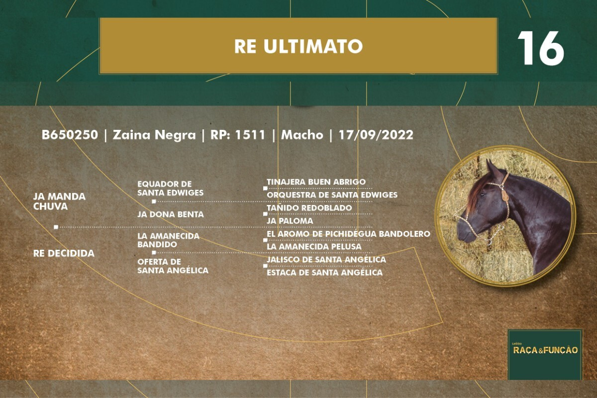 Geração RE ULTIMATO