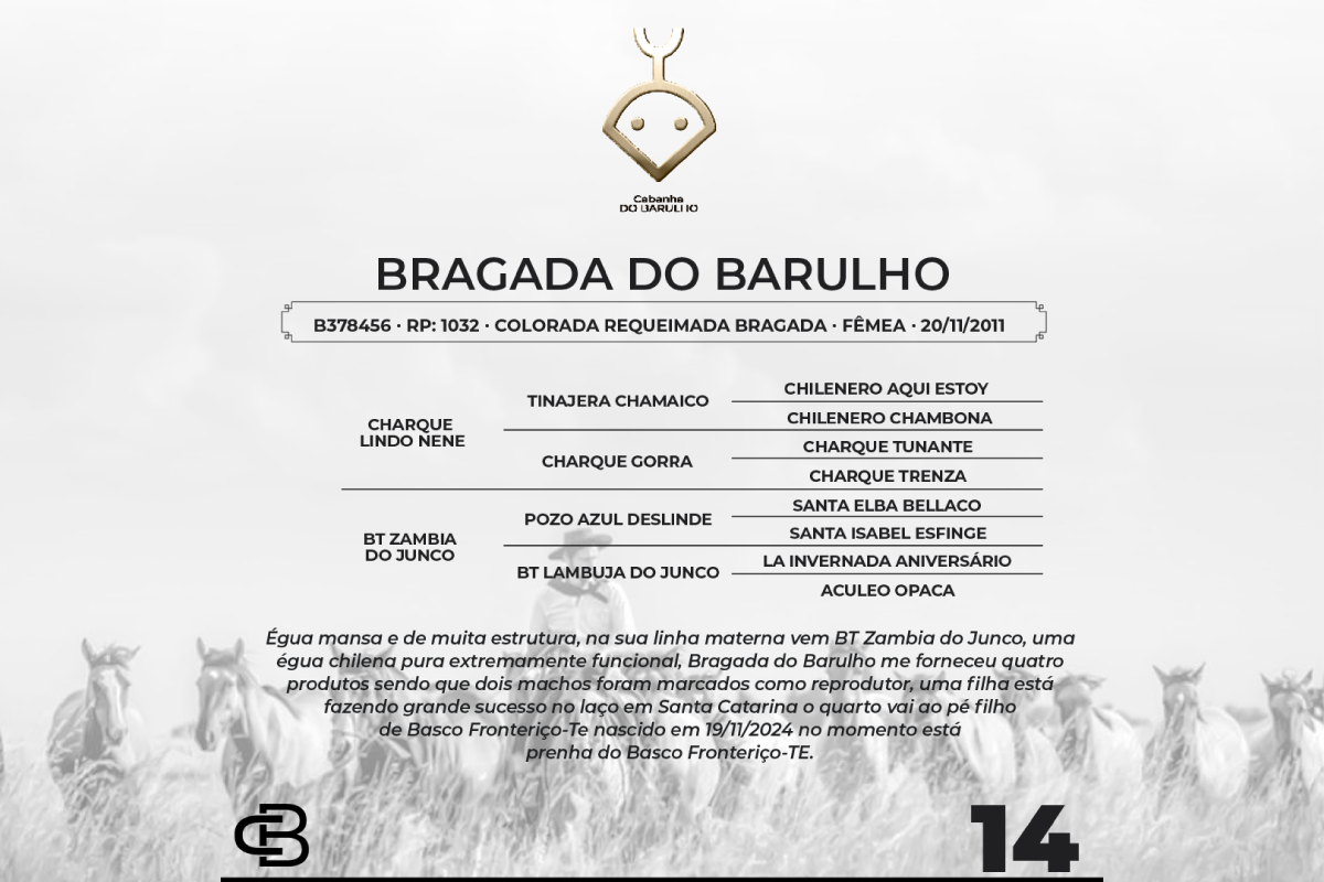 Geração BRAGADA DO BARULHO
