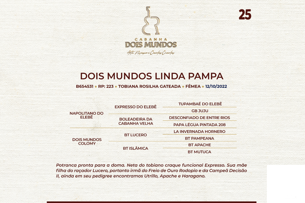 Geração DOIS MUNDOS LINDA PAMPA