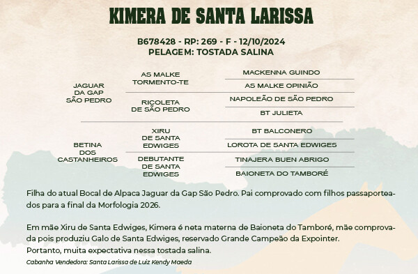 Geração KIMERA DE SANTA LARISSA 