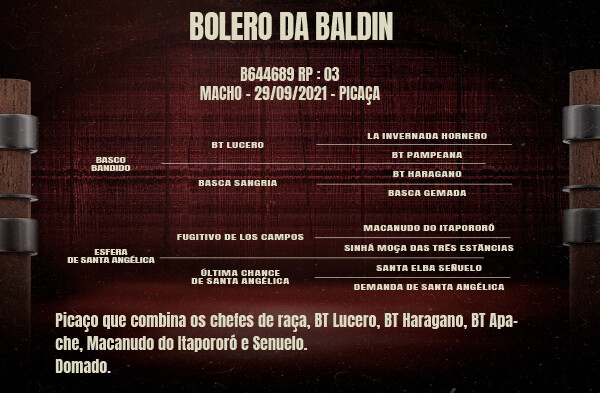 Geração BOLERO DA BALDIN