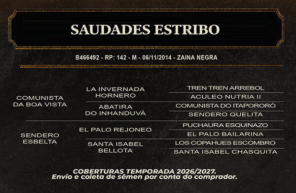 Geração SAUDADES ESTRIBO 
