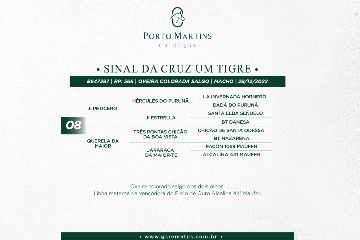 Geração SINAL DA CRUZ UM TIGRE