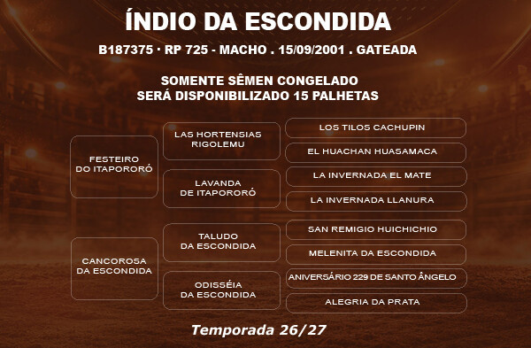 Geração COBERTURA INDIO DA ESCONDIDA 
