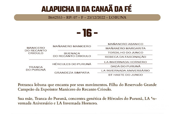 Geração ALAPUCHA II DA CANAA DA FE 