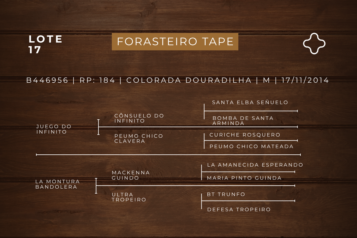 Geração FORASTEIRO TAPE