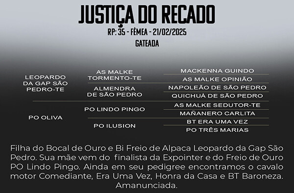 Geração JUSTIÇA DO RECADO 