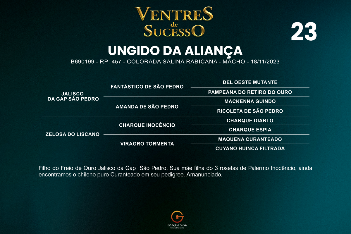 Geração UNGIDO DA ALIANÇA 