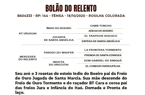 Geração BOLÃO DO RELENTO