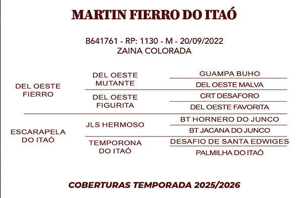 Geração MARTIN FIERRO DO ITAO 