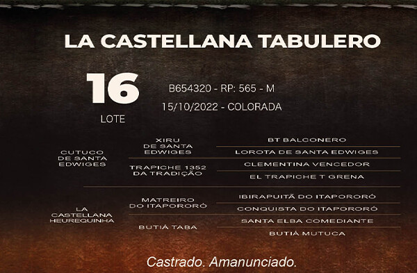 Geração LA CASTELLANA TABULERO