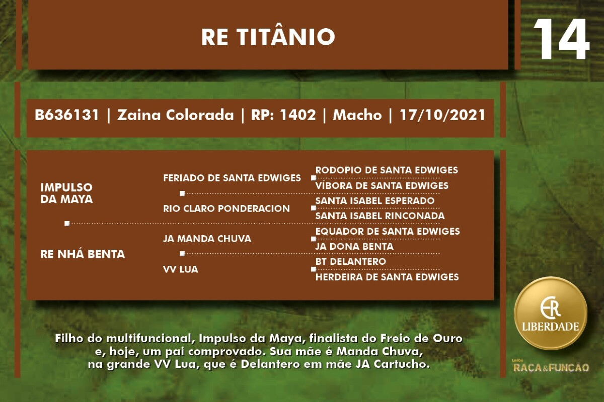 Geração RE TITÂNIO