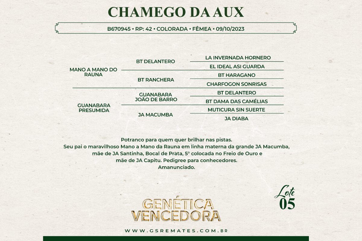 Geração CHAMEGO DA AUX