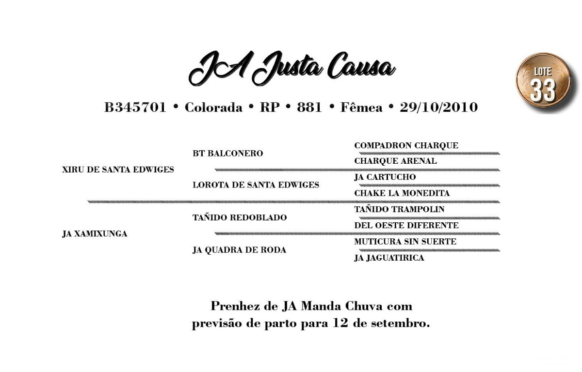 Geração JA JUSTA CAUSA