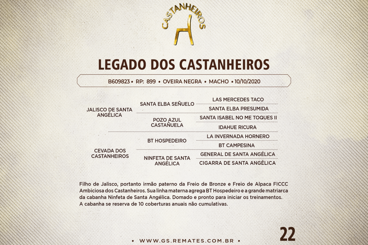 Geração LEGADO DOS CASTANHEIROS