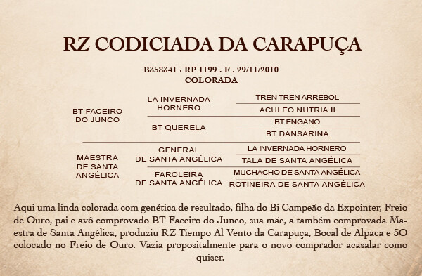 Geração RZ CODICIADA DA CARAPUÇA