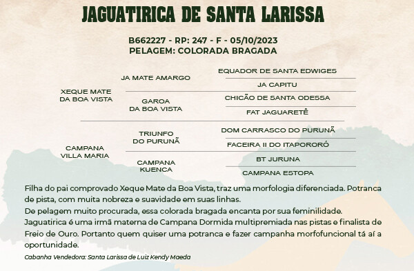 Geração JAGUATIRICA DE SANTA LARISSA 