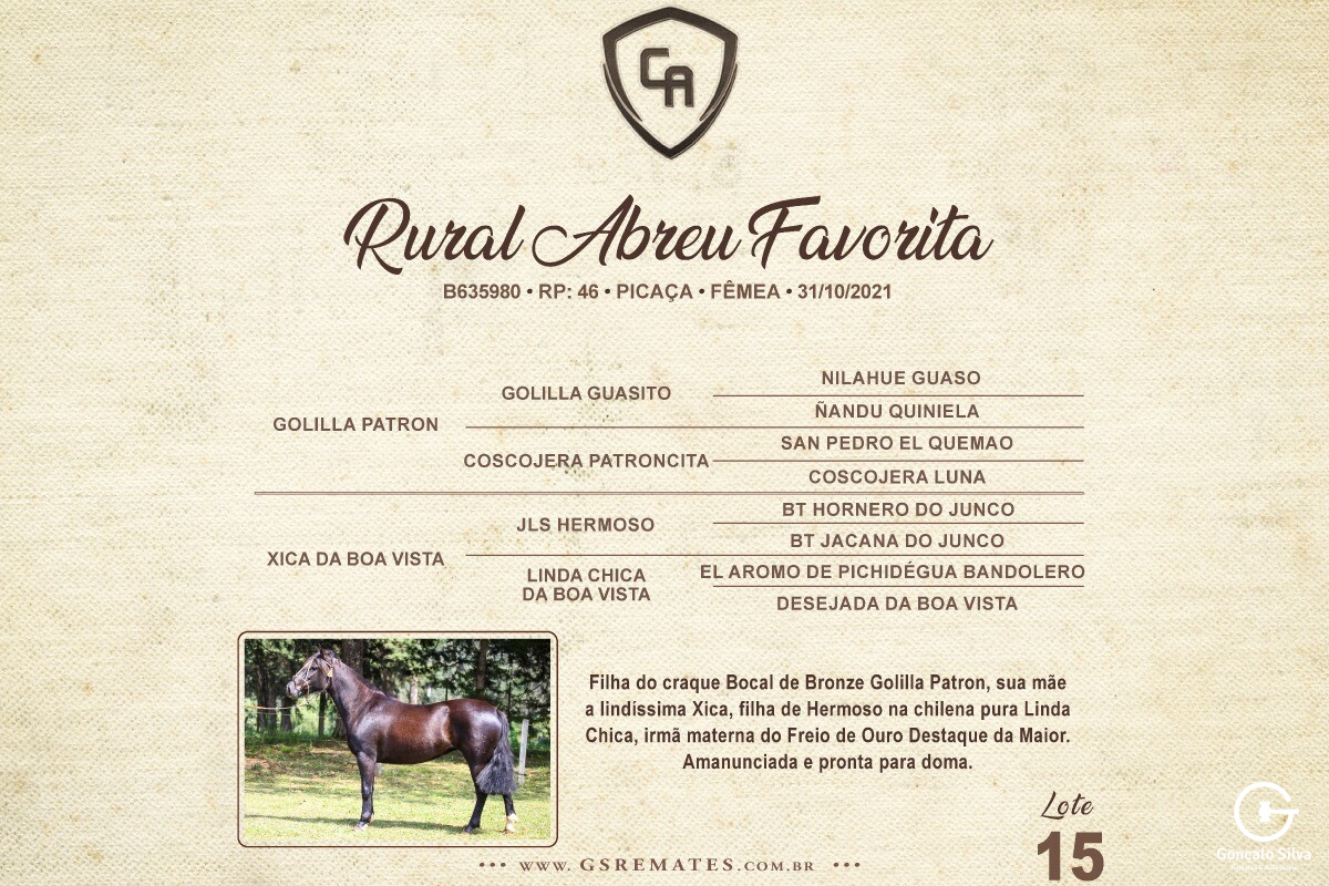 Geração RURAL ABREU FAVORITA