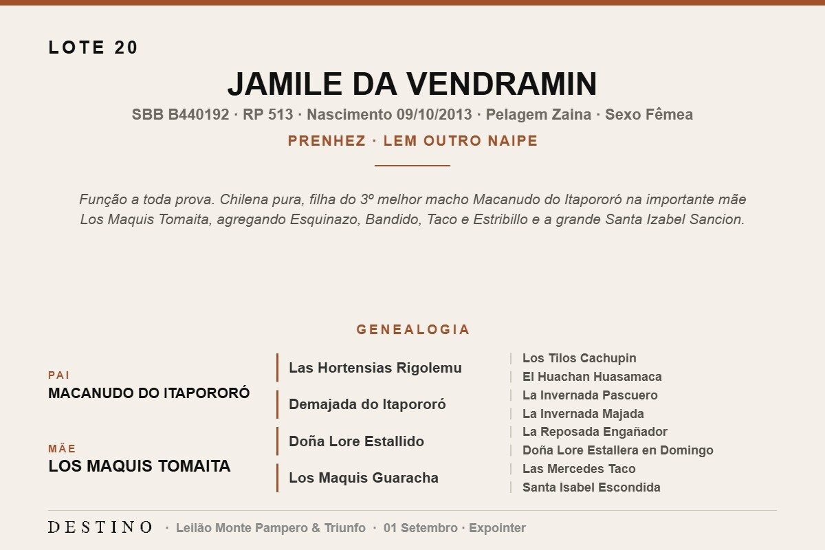 Geração JAMILE DA VENDRAMIN