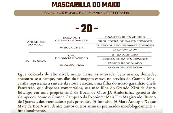 Geração MASCARILLA DO MAKO