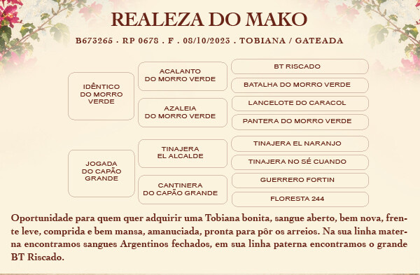 Geração REALEZA DO MAKO