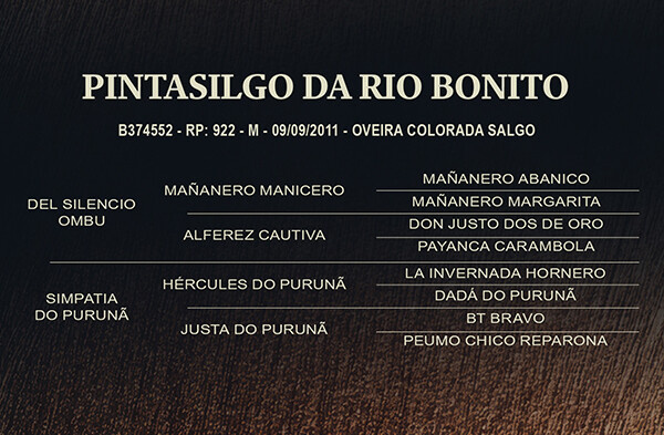 Geração PINTASILGO DA RIO BONITO