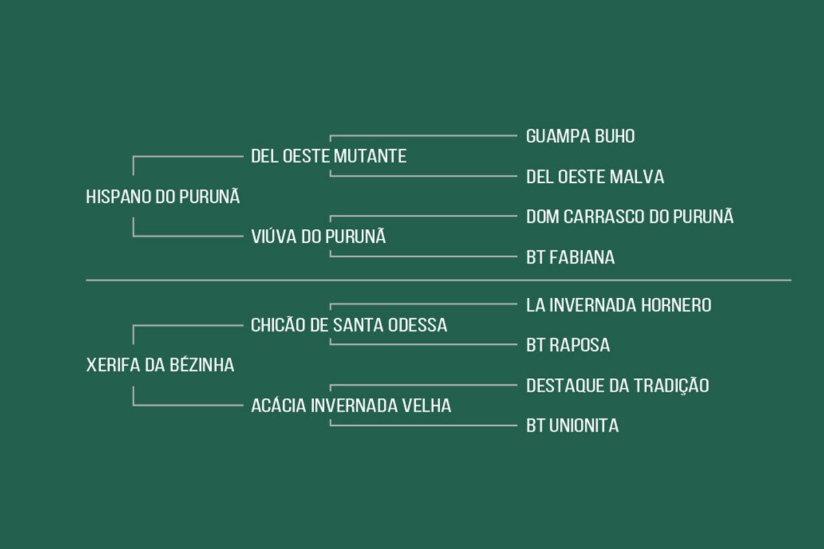 Geração HISPÂNICA DA BOA VISTA