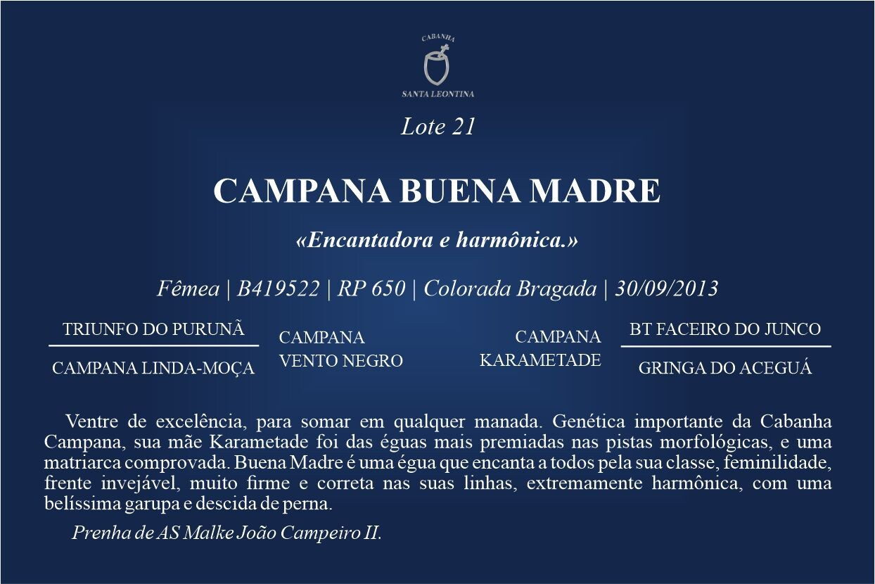 Geração CAMPANA BUENA MADRE