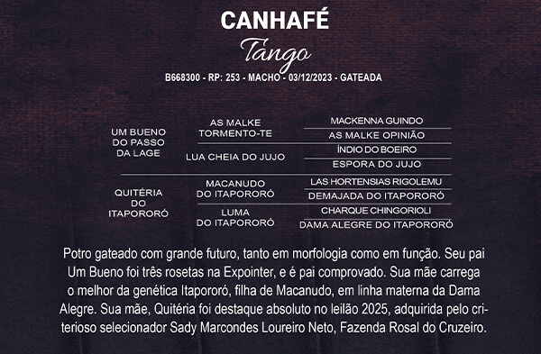Geração CANHAFÉ TANGO