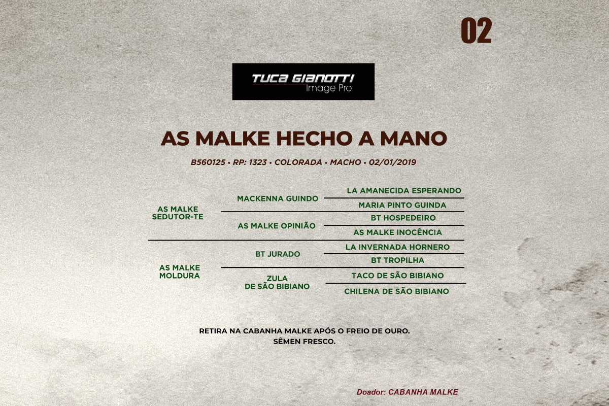 Geração AS MALKE HECHO A MANO 