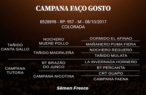 Geração CAMPANA FAÇO GOSTO