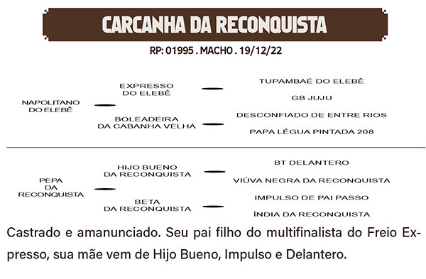 Geração CARCANHA DA RECONQUISTA