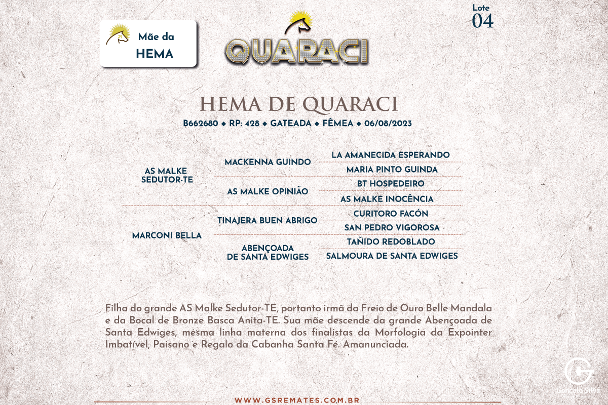 Geração HEMA DE QUARACI 
