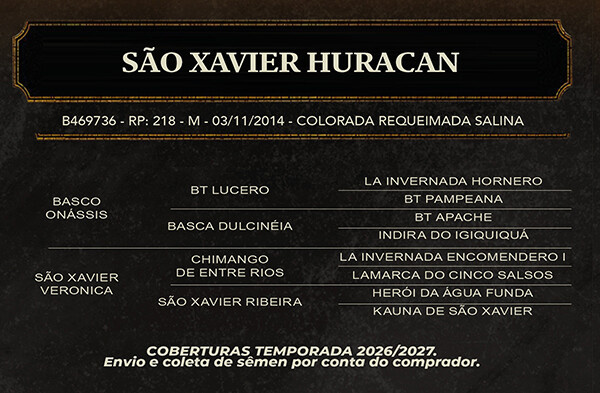 Geração SÃO XAVIER HURACAN 