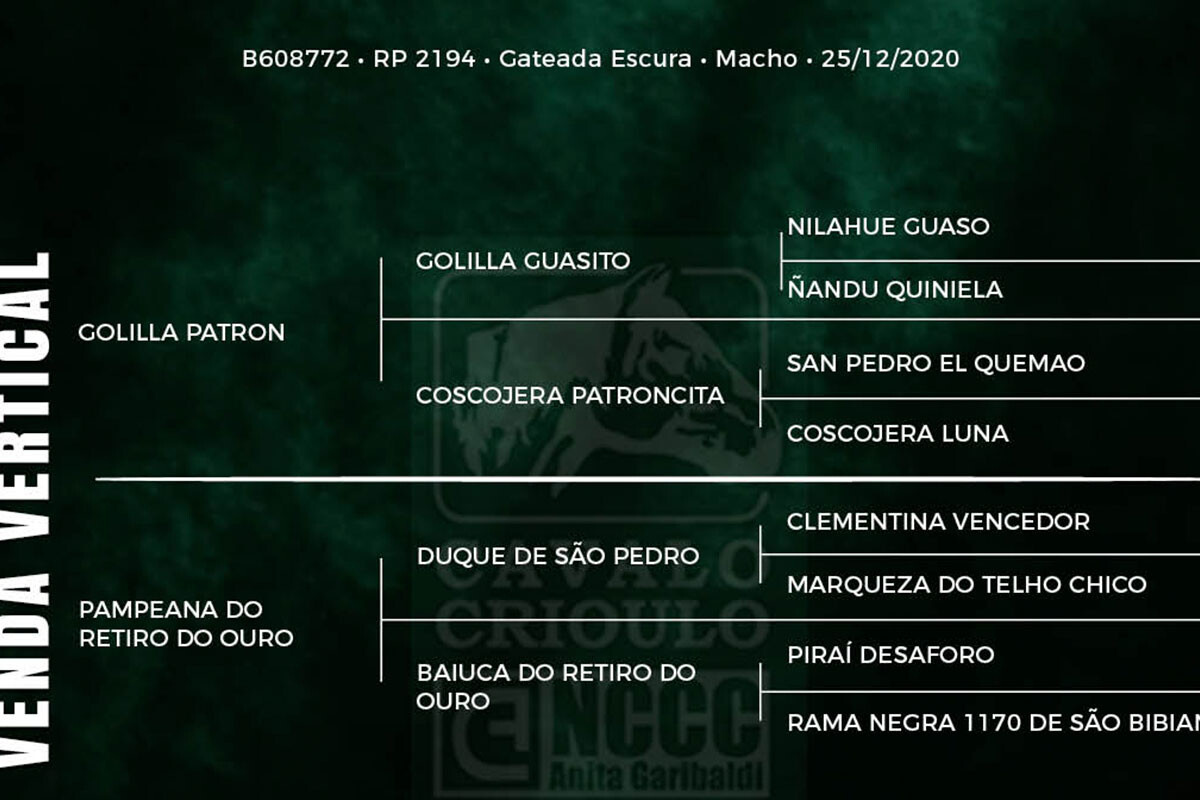 Geração GAP OESTE-TE