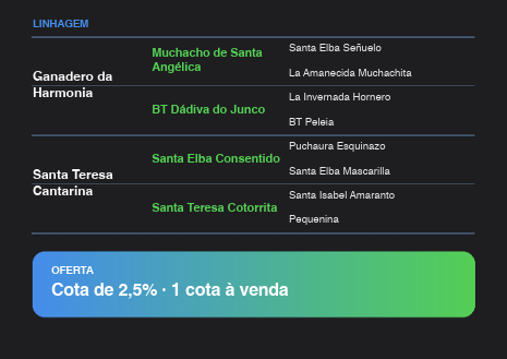 Geração SOMBRERO DO MACANUDO
