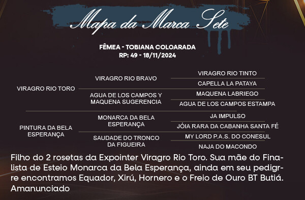 Geração MAPA DA MARCA SETE