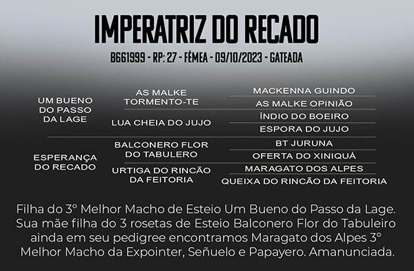 Geração IMPERATRIZ DO RECADO