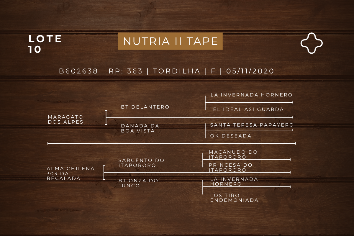 Geração NUTRIA II TAPE