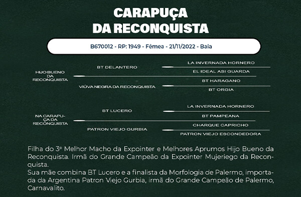 Geração CARAPUÇA DA RECONQUISTA