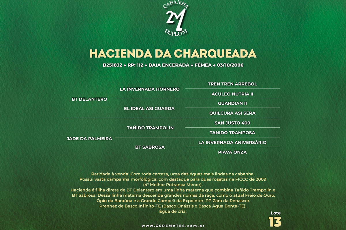 Geração HACIENDA DA CHARQUEADA